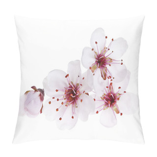 Personality Cherry Blossoms Close Up Pillow Covers