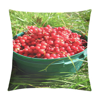 Personality  Harvest Of Red Schizandra Pillow Covers