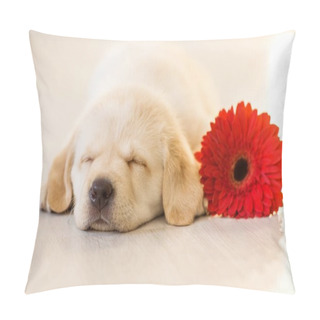 Personality  Cute Little Puppy Sleeping On Wooden Background Pillow Covers