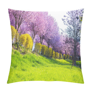 Personality  Garden With Blooming Sakura Trees In Spring Pillow Covers