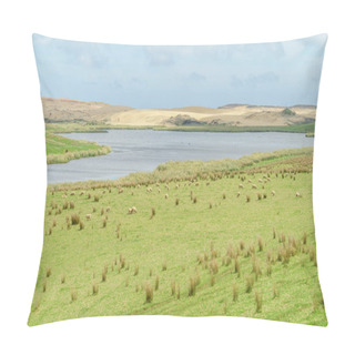 Personality  Field Pillow Covers