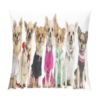 Personality  Group Of Dressed Up Chihuahuas, Isolated On White Pillow Covers