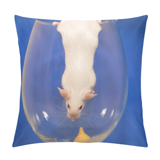 Personality  White Mouse On Glass Pillow Covers