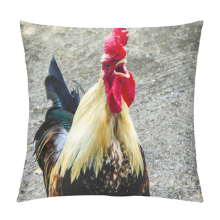 Personality  Cock Crow Chicken Pillow Covers