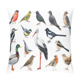 Personality  Forest Birds Watercolor Set. Hand Drawn Various European Native Bird Collection. Stork, Woodpecker, Wren, Duck, Bullfinch, Cuckoo, Nuthatch Realistic Illustration. Different Bird Species Image Set.  Pillow Covers