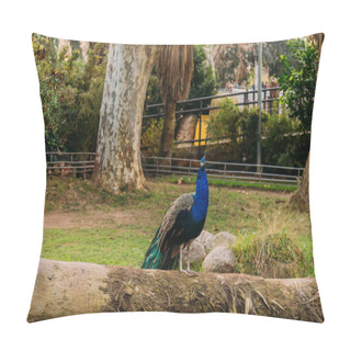 Personality  Beautiful Peacock On Tree Trunk In Zoological Park, Barcelona, Spain Pillow Covers