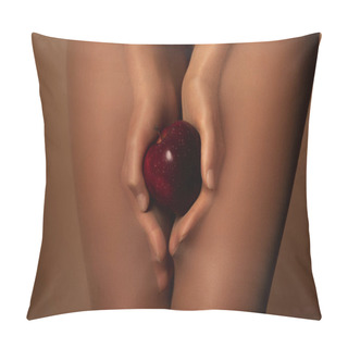 Personality  Cropped View Of Woman In Nylon Tights Holding Ripe Red Apple Isolated On Brown Pillow Covers