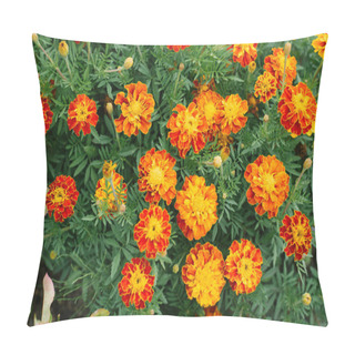 Personality  Flower Background Of Orange Flowers Marigolds In The Garden In Summer Pillow Covers