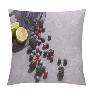 Personality  Glass Tumbler With Blueberries And Lime Slices Pillow Covers
