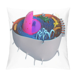 Personality  Animal Cell In Section, Multi-colored Pillow Covers