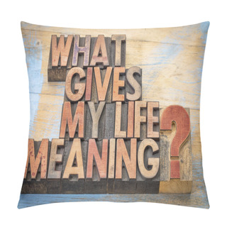 Personality  What Gives My Life Meaning? Pillow Covers