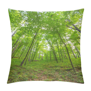 Personality  Beautiful Forest Near Rzeszow City, Poland Pillow Covers