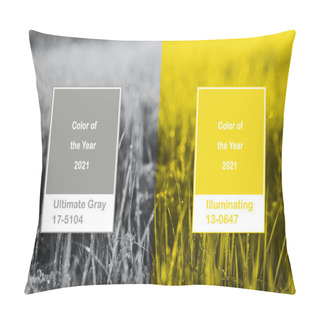 Personality  Collage With New Pantone Illuminating, Ultimate Gray Color Of The Year 2021. Natural Background Pillow Covers