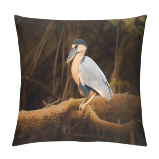 Personality  Boat Bill Bird Detail. Boat-billed Heron, Cochlearius Cochlearius, Sitting On The Branch Near The River Water, Yucatan, Mexico. Bird With Big Bill In The Dark Forest, Wildlife Scene America, Pillow Covers