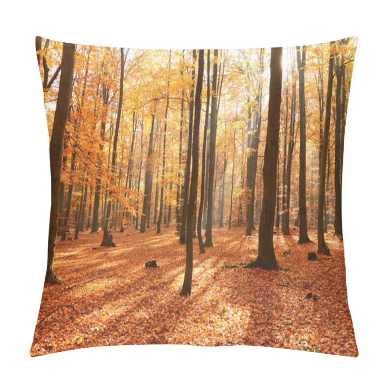 Personality  Autumn trees in forest pillow covers