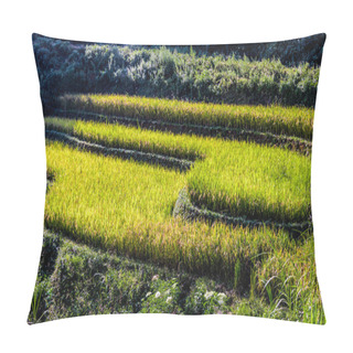 Personality  Landscape View Of Rice Fields In Mu Cang Chai District, VIetnam Pillow Covers