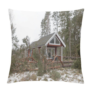 Personality  Fallen Pine Trees After The Terrible Storm Alfrida In Roslagen In The East Part Of Sweden Pillow Covers