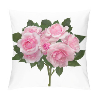 Personality  Rosebuds With Green Leaves Pillow Covers