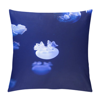 Personality  Background A Lot Of Jellyfish, Underwater World Pillow Covers