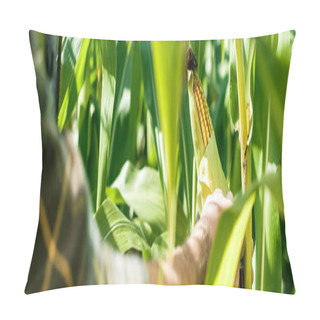 Personality  Panoramic Shot Of Farmer Touching Corn Near Green Leaves  Pillow Covers