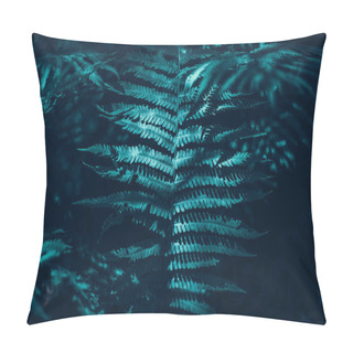 Personality  Beautiful Green Dark Fern Leaves In Forest. Polypodiopsida Plant Background Texture. Pretty Artistic Organic Floral Natural Theme Backdrop. Amazing Seasonal Summer Wallpaper. Beauty In Nature.  Pillow Covers