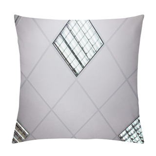 Personality  Fluorescent Lamp On The Modern Ceiling Pillow Covers
