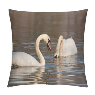 Personality  Swan Swimming In The Kake Pillow Covers
