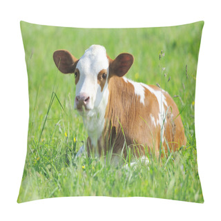 Personality  Calf In Meadow Pillow Covers