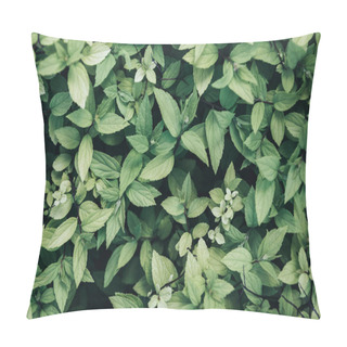 Personality  Full Frame Image Of Green Leaves Background  Pillow Covers