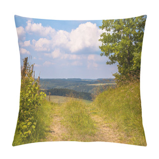 Personality  Walking Trail On A Hill In A Green Summer Landscape Pillow Covers