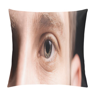 Personality  Close Up View Of Human Grey Eyes Looking At Camera, Panoramic Shot Pillow Covers
