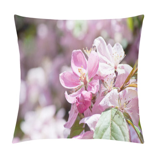 Personality  Cherry Blossom.Macro Pillow Covers