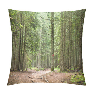 Personality   Spruce Tree Forest Pillow Covers