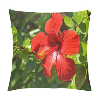 Personality  Red Hibiscus Pillow Covers