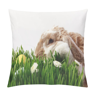 Personality  Rabbit And Grass Stemes With Painted Eggs, Easter Concept Pillow Covers