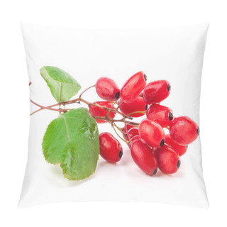 Personality  Barberry With Leaves Pillow Covers