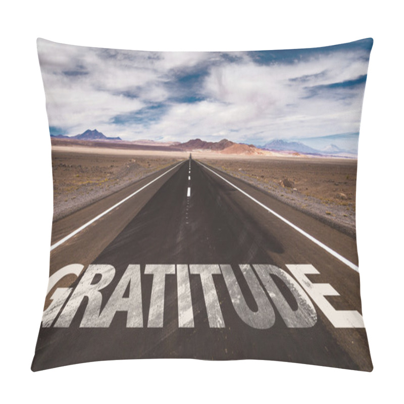 Personality  Gratitude On Desert Road Pillow Covers