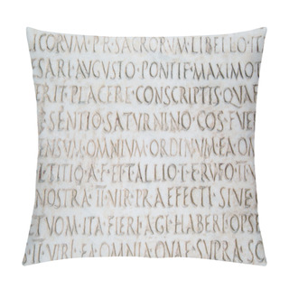 Personality  Latin Words Carved On Ancient Stone Pillow Covers