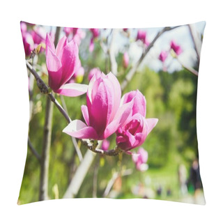 Personality  Magnolia Pink Flowers At Sunny Day   On Background Pillow Covers