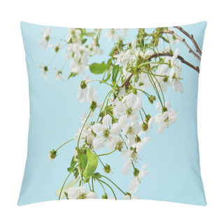 Personality  Close-up Shot Of Branches Of White Cherry Flowers Isolated On Blue Pillow Covers