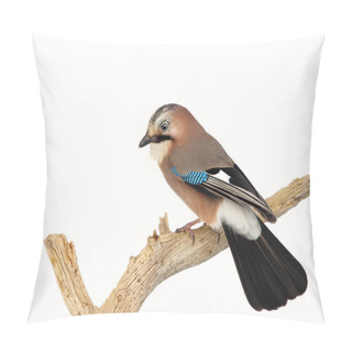 Personality  Eurasian Jay Perched On A Tree Branch In Winter Pillow Covers