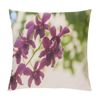 Personality  Beautiful Violet Orchids Flower In Nature Tropical Garden. Close Up Purple White Purple Orchids In The Orchids Farm. Bright Colored Wild Orchid As Floral Green Background. Pillow Covers
