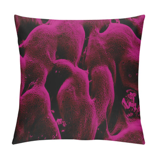 Personality  Mucosa Under Microscope Pillow Covers