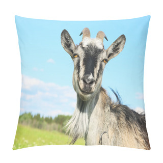 Personality  Goat Pillow Covers
