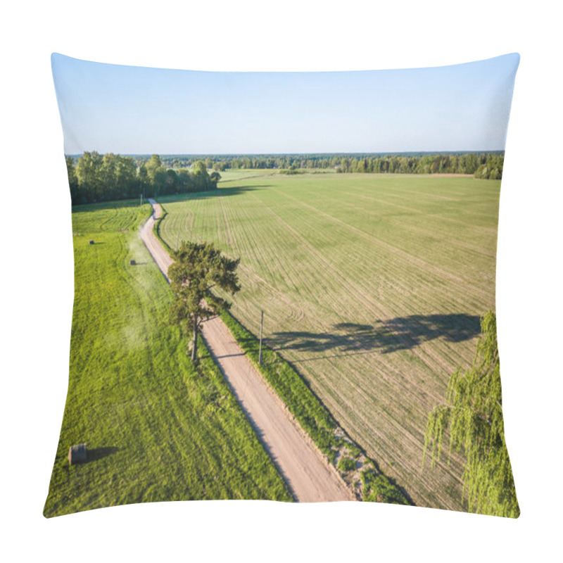 Personality  Drone Photo Of The Road Between Trees In Colorful Early Spring In Countryside Village  - Surrounded With Dandelion Field Pillow Covers