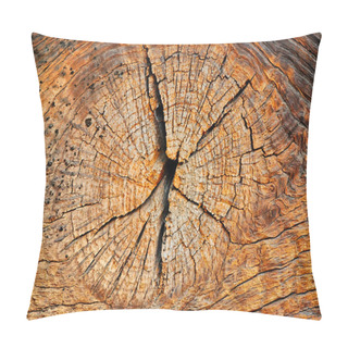 Personality  Beautiful Cut Of Tree Pillow Covers