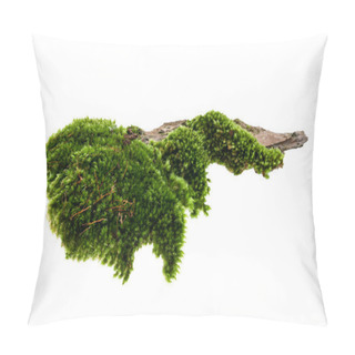 Personality  Moss Or Mosses On A Pine Bark, Green Moss On A Tree Bark Isolated On White Background, With Clipping Path  Pillow Covers