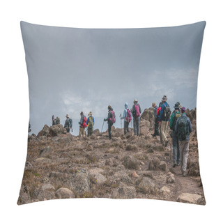 Personality  Group Trekking On Kilimanjaro Pillow Covers