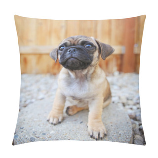 Personality  A Cute Chihuahua Pug Mix Puppy  Pillow Covers