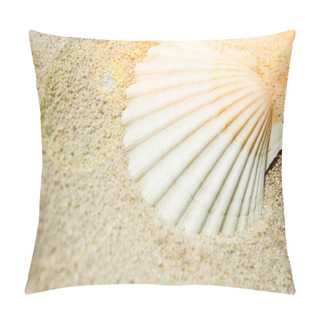 Personality  Beautiful Seashells By The Sea On Nature Background Pillow Covers